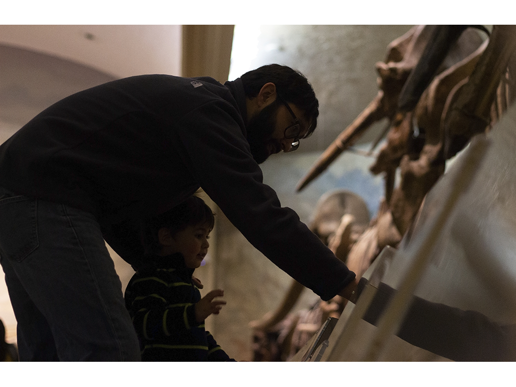 child looking at mammoth bones
