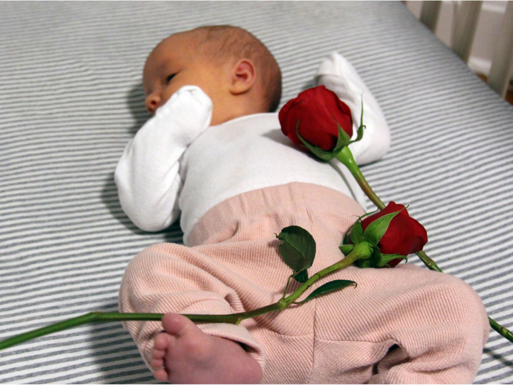 Young baby picture with rose