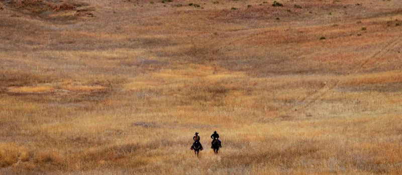 Two cowboys ride through field on horses.