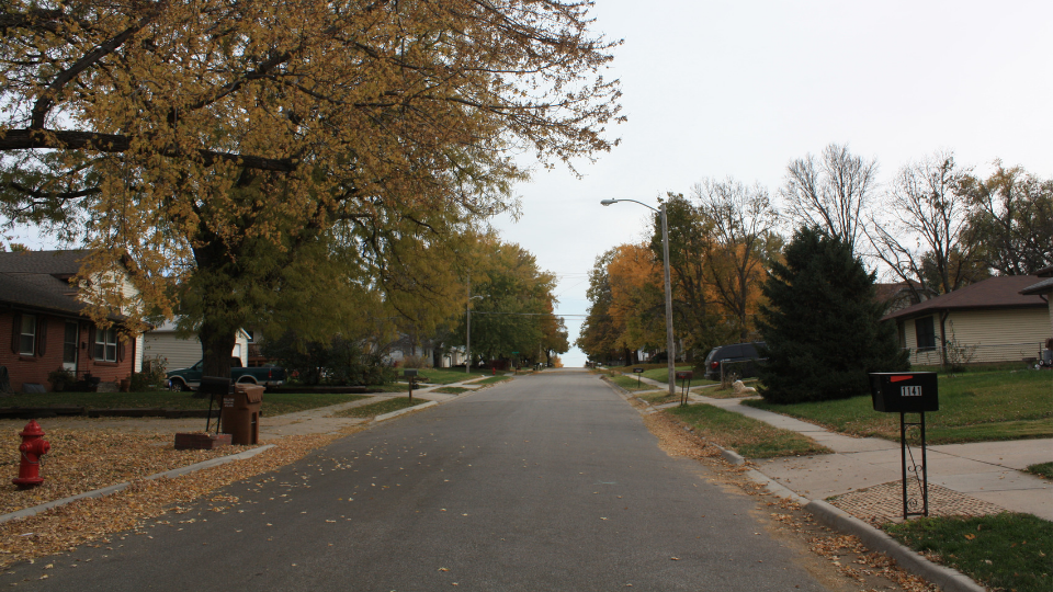 neighborhood street