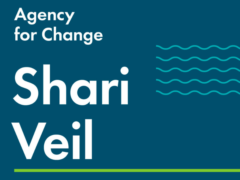 Agency for Change graphic