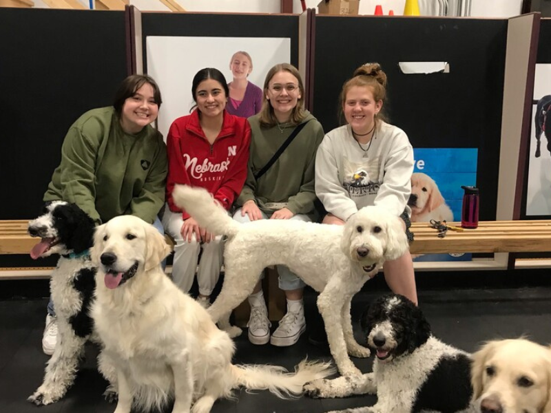 Four advertising and public relations students pose alongside the dogs at a Domesti-PUPS Saturday play group.