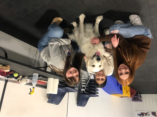 Three PRSSA members pose with a pup at Domesti-PUPS. The students provided marketing assistance for the non-profit.