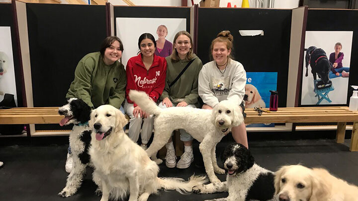 4 students sitting at a booth with dogs