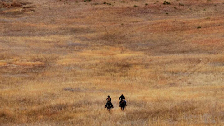 A field with 2 people riding horses