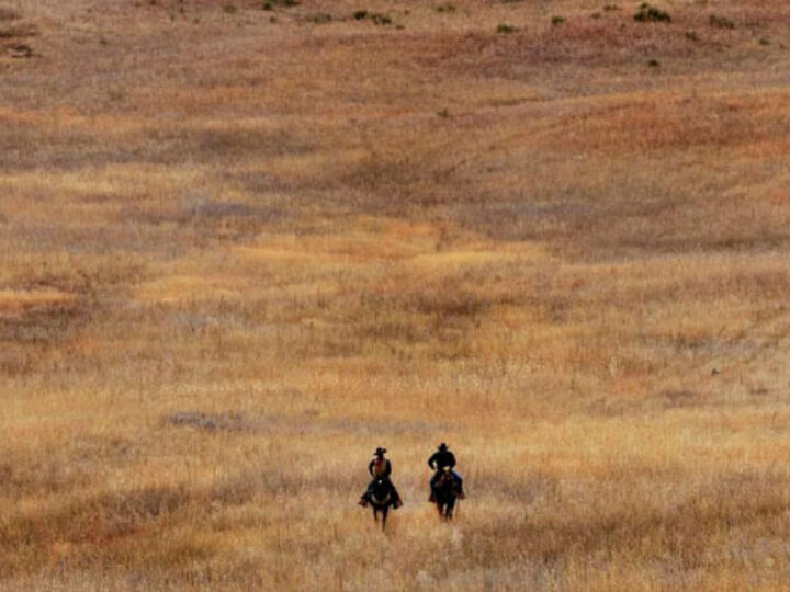 A field with 2 people riding horses